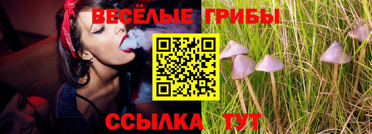 Псилоцибиновые грибы мухоморы Алапаевск