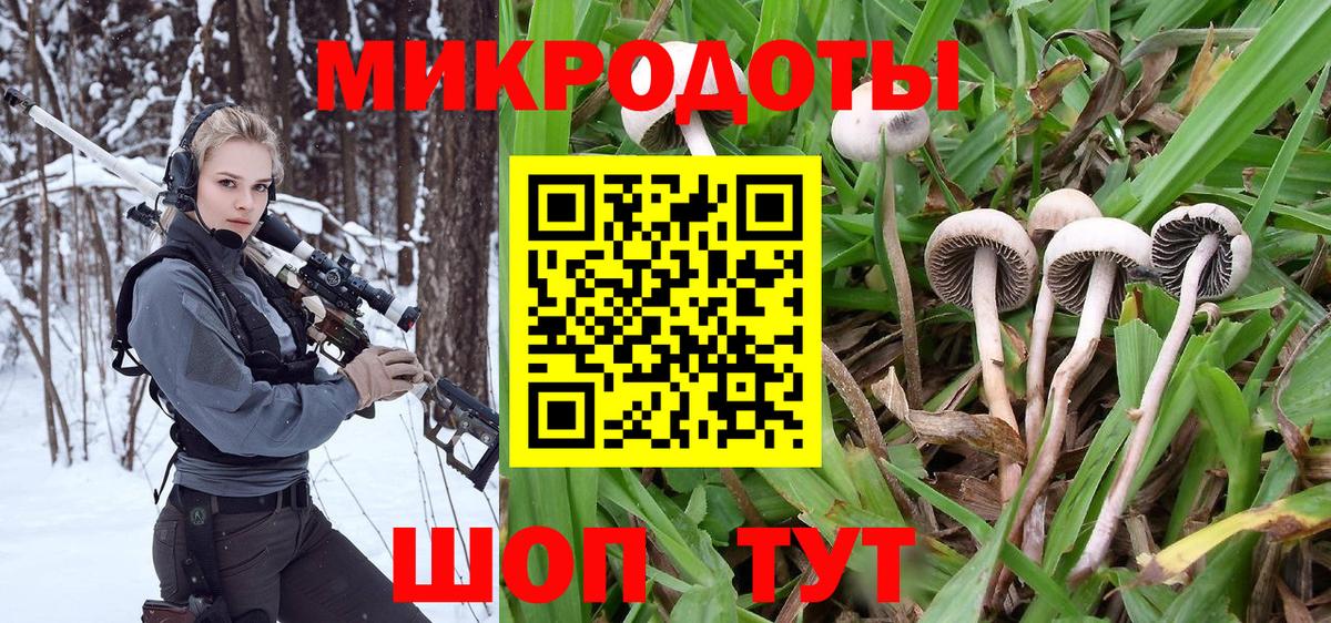 APVP Алапаевск